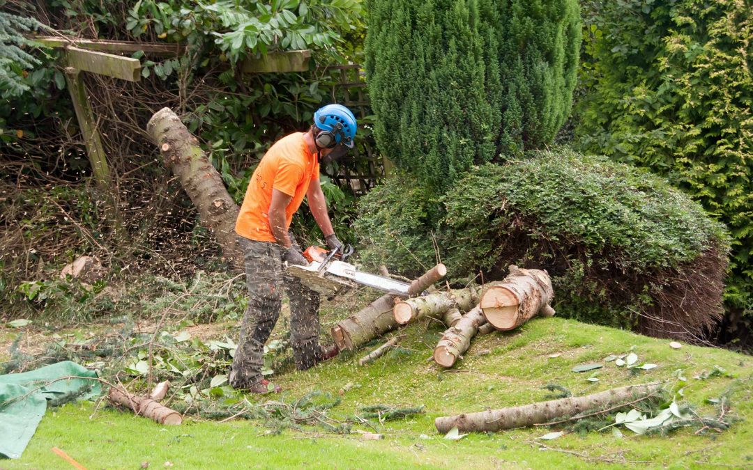 featuredimage-landscaping